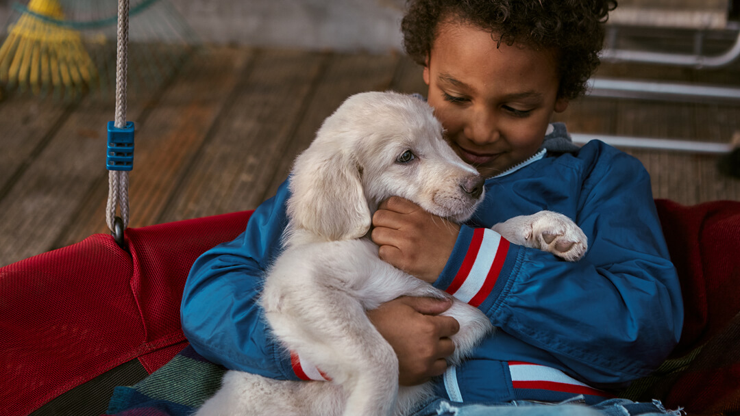 Dogs playing hot sale with kids